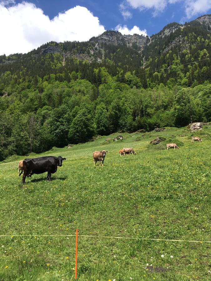 Terrasse Nessental Gadmen